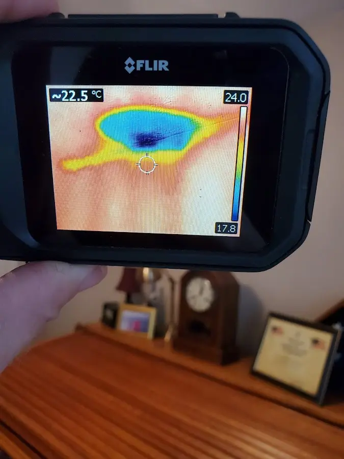 Thermal imaging inspection for water damage in Pasadena